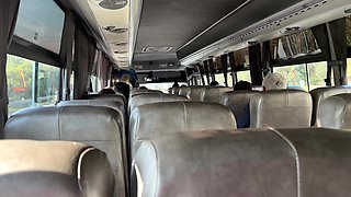 Public Bus Adventure: I Show My Cock to a Sexy Cutie Lady...she Can't Resist