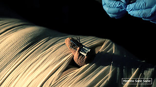 Medical Play Fun, Mummification, Needle CBT and Electro