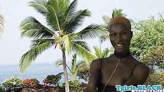 Beauty escort - black sex - Black TGirls