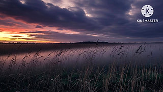 She roams the fields in Horror Animation.