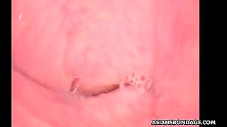 Japan Salacious Gal Rika Kawamura Exciting Clip