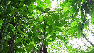 Jungle masturbate I need to go out for Horny