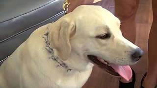 Peta And The boss ft. Peta Jensen: Blowjob, Doggy  Cowgirl Porn