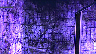 Virtual Aphrodite in Motion: Curves Divine - 3D Animation Hentai