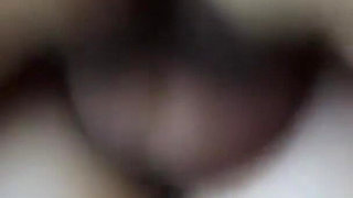 The Most Eager White Cow