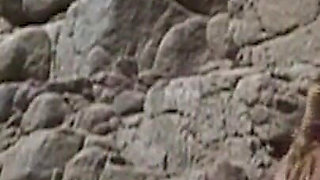 They Fuck Uninhibitedly on the Beach