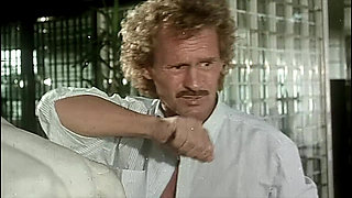 Porn Set with Milly D'abbraccio and Lots of Anal