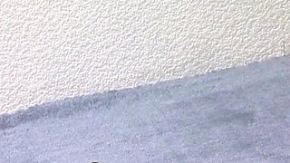 Redhead Adult Star Uses Dildo and Sucks Cock