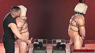 Wild Phoenix And Phoenix Wild - Woodxbound Gives Phoenix And Rew A Wild Edging