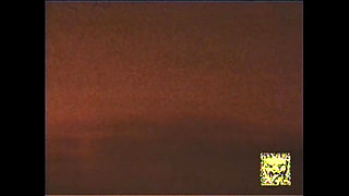 Animated Pervert (part 2)