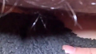 Hot and Sexy Fucking Going on Here! Wet, Juicy Pussy Getting Pounded by Hard Dick!