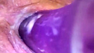 Purple Giant