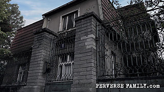 Perverse Family 21.2 (season 2) Vacuum Bed Insulation