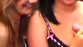 Lingerie Models Pounce