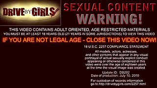 A Beautiful Evening With Crazy Sex Through Car Window