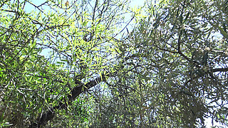 American cuckold wife gets massive cumshot on her hairy pussy in French nudist resort