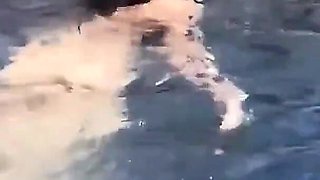 Nake Swimming and Fucking in the Pool