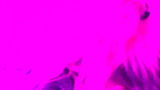 Wife Gives Naughty Blowjob