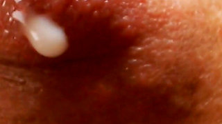 Sunny Day Milking Boobs