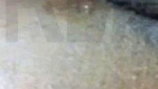 CIMA black and ebony