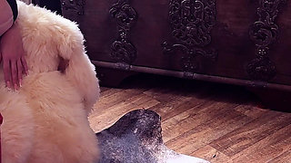 Clean-up Slave Ordered
