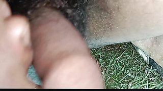 Handling mara video
