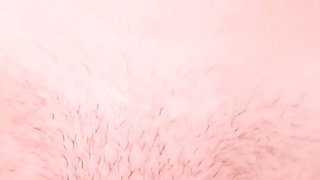 Stepdaddy's Fat Cock Fucks Tight Pussy Stepdaughter to Orgasm