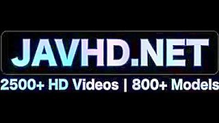 Delicate Legs In Stockings Vol 11