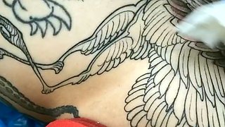 Stripping Amateur In Sexy Panties