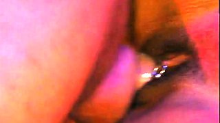 N2 The Gene Pool Black and Ebony