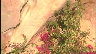 Hot Young Shaved Cunt Lesbian Pussy Fingering Sluts Lick Each Other Outside