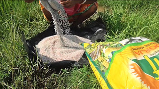 Village granny pee in the field