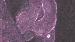 A sexual encounter is about joy, so intense and wild that it's difficult to describe in words.