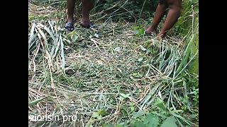 The Africans Were Caught in the Bush Fucking