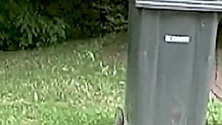 Blowjobs and Fucking in the Parking Lot