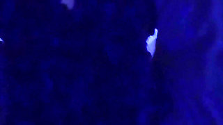 Wednesday Addams Family Cosplay Parody Halloween Special