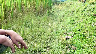 Outdoor Village Sex on Paddy Field Desi Indian Bengali Bhabi Doggy Style Fuck and Creampied with Audio