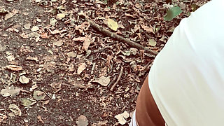 In the Woods Again