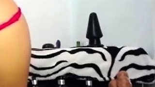 Amateur close up ass toying