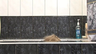 Fat Cock Fucks Pussies Hard