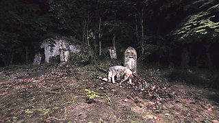 X Virtual 11 Walking Zombies in 180°