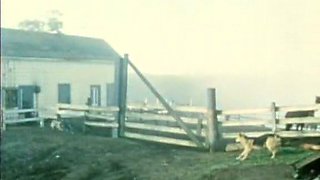 Black young dude licks hairy white pussy on the couch