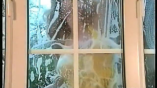 The Window Cleaner