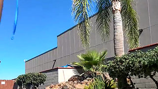 Stream Started Tanning