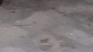 Two Teens Are Peeing in a Square!