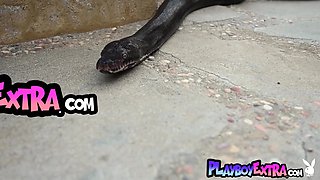 Redhead snake charmer poses nude outdoor