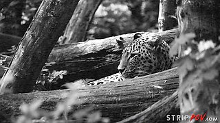 Watch bewitching Nicole Kitt's movie