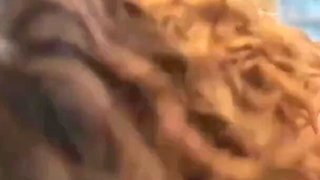 Gps Point Launched, Subscribers Join Me to Take Me Like a Slut Outside in La Rochelle