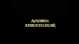 John Holmes the Wild Lover