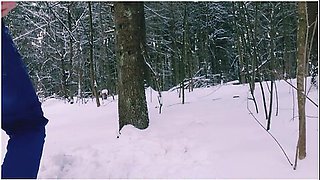 Jeny Smith, Red Fox And Naughty Lada - The Winter Forest